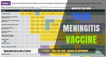 Protecting Yourself: The Optimal Time for Meningitis Vaccination