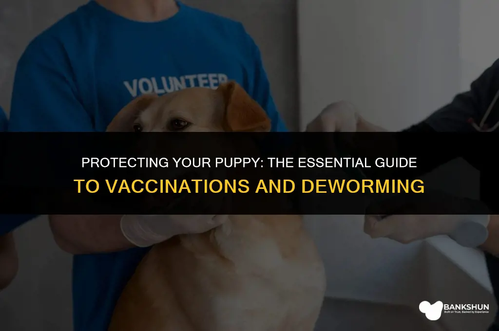 when do you vaccine and deworm puppies