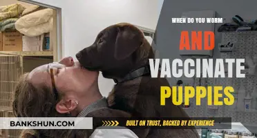 Protecting Your Puppy: A Guide to Worming and Vaccination Schedules
