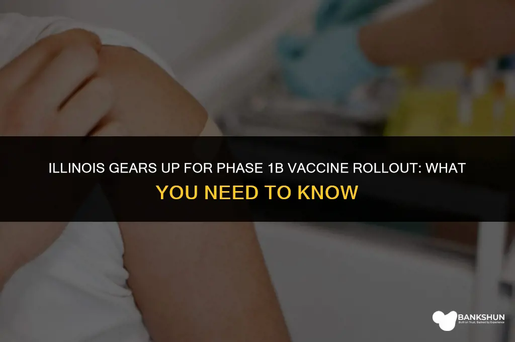 when does 1b vaccine start in illinois
