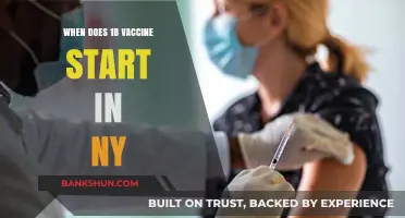 New York's 1B Vaccine Rollout: What You Need to Know