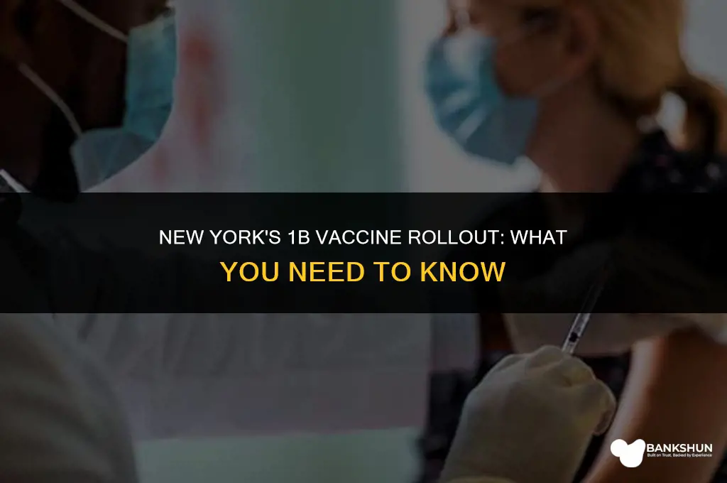 when does 1b vaccine start in ny