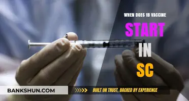 South Carolina's Phase 1b Vaccine Rollout: What You Need to Know