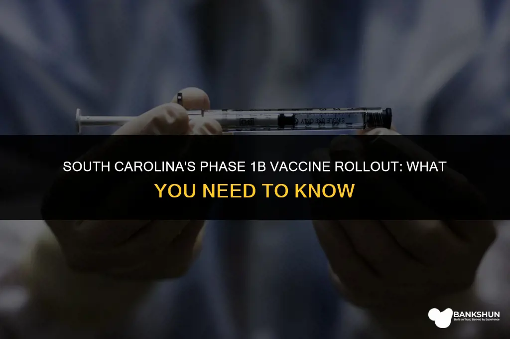 when does 1b vaccine start in sc