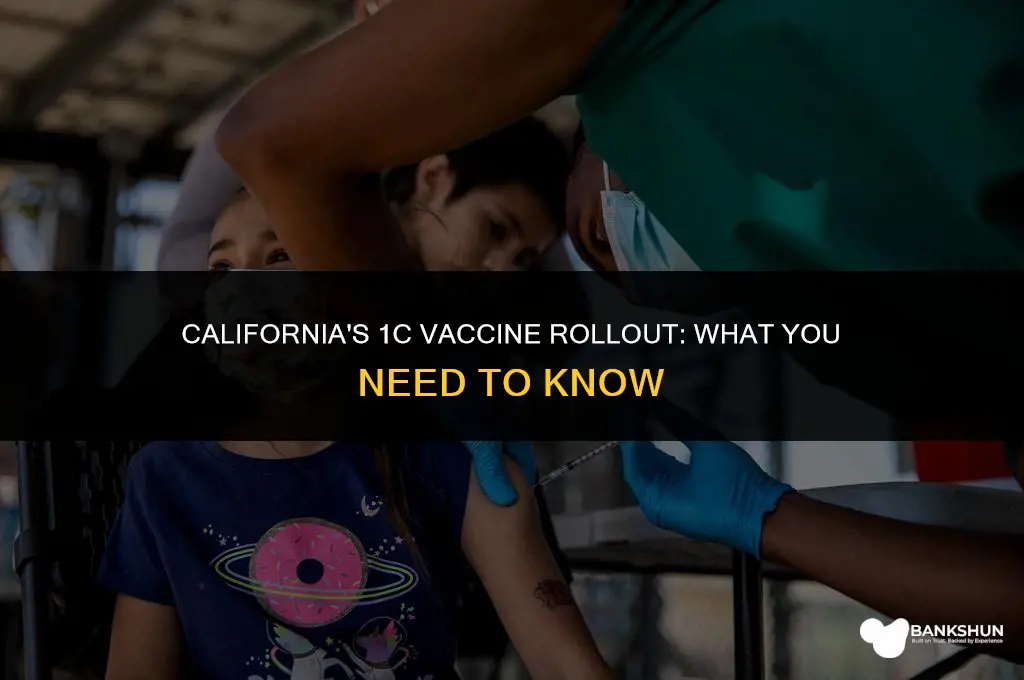 when does 1c vaccine start in ca