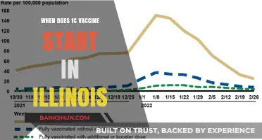 Illinois Unveils Timeline for 1C Vaccine Rollout: Stay Informed