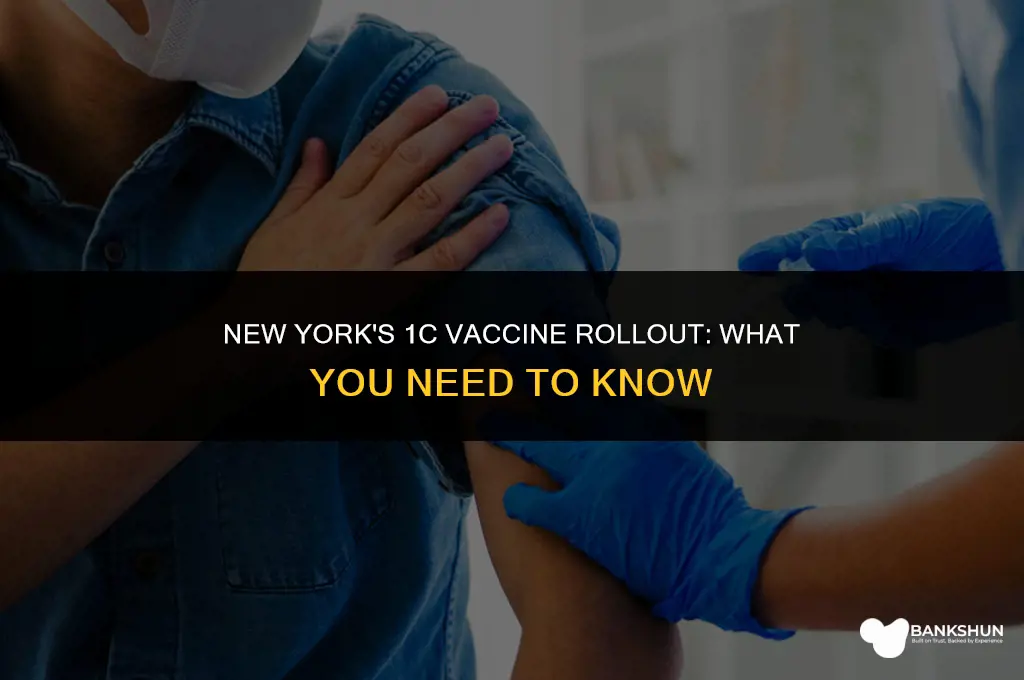 when does 1c vaccine start in ny