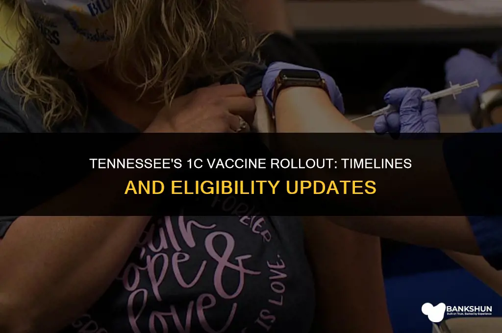 when does 1c vaccine start in tn