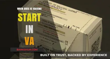 Virginia's 1C Vaccine Rollout: Timelines and Eligibility Updates