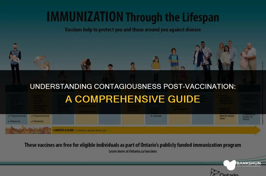 when does a vaccinated person become contagious