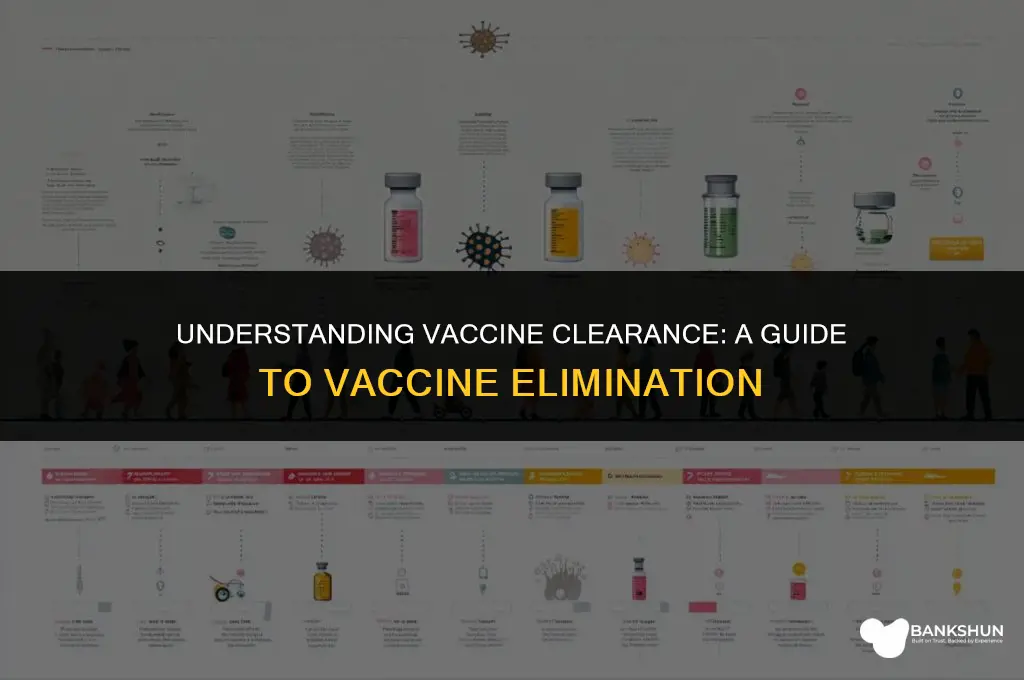 when does a vaccine leave your body