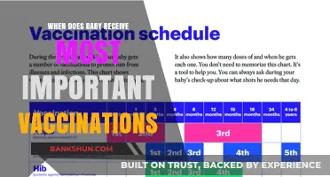 Vaccination Schedule: When Do Babies Receive Their Most Critical Shots?