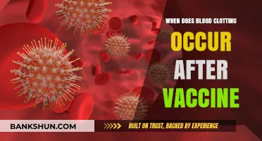 Understanding Blood Clotting Risks Post-Vaccination: What You Need to Know