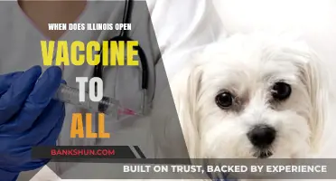 Illinois Vaccine Rollout: When Will All Residents Be Eligible?