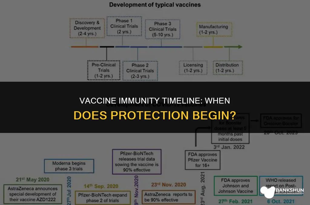 when does immunity kick in after vaccine