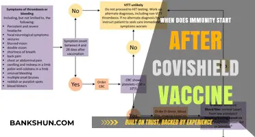 Boosting Protection: When Does Immunity Begin After Covishield?