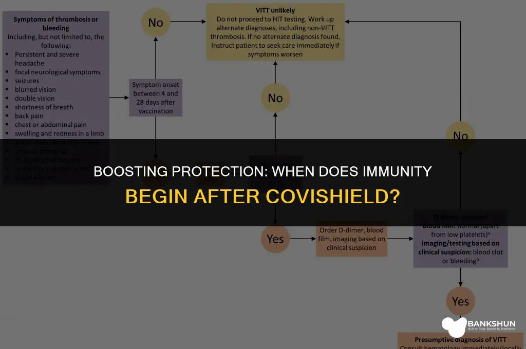when does immunity start after covishield vaccine