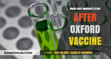Exploring Post-Vaccination Immunity: Oxford Vaccine Insights