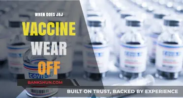 Understanding the Longevity of J&J Vaccine Protection: What You Need to Know