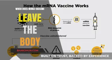 Understanding mRNA Vaccine Clearance: A Comprehensive Guide