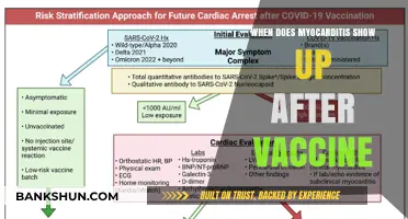 Understanding Myocarditis: Timing and Symptoms Post-Vaccination