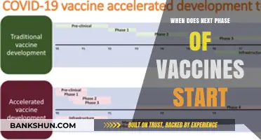 Advancing Immunization: The Upcoming Phase of Vaccine Distribution