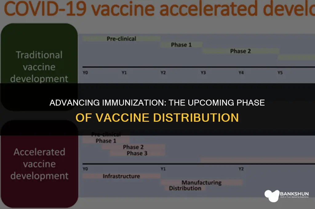 when does next phase of vaccines start
