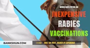 Affordable Rabies Vaccinations at Petco: A Guide for Pet Owners