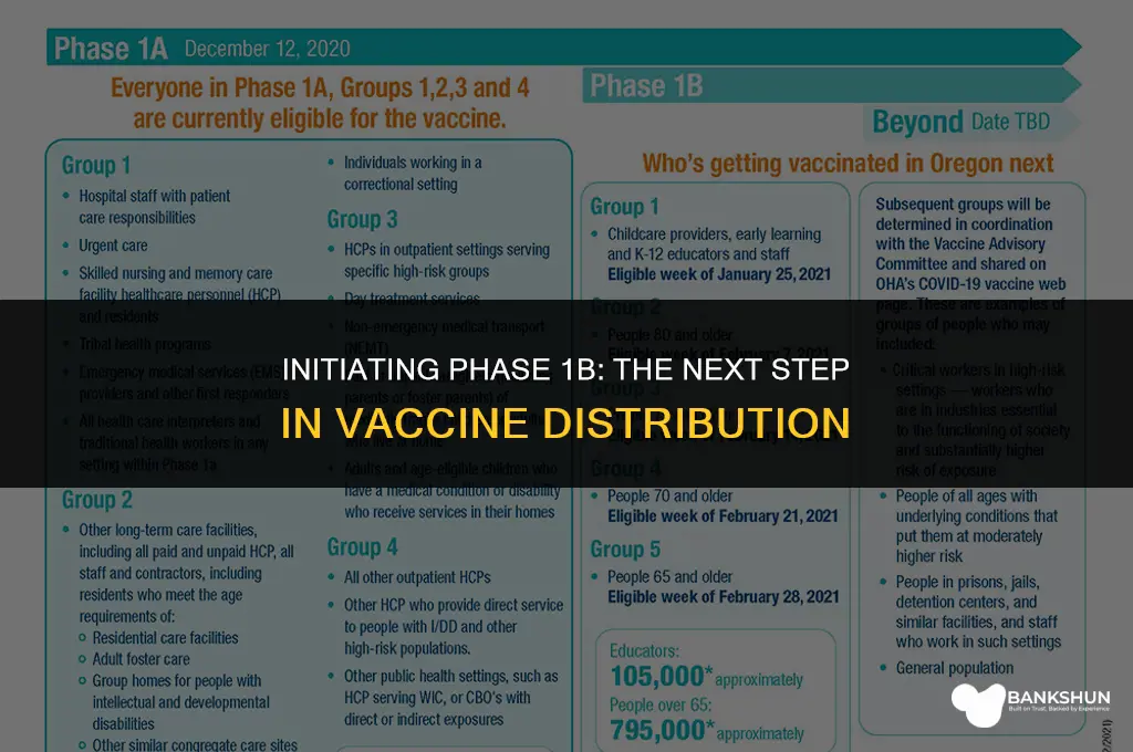 when does phase 1b of vaccine start