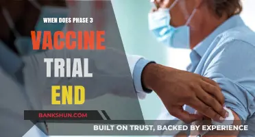 Anticipating the Conclusion: When Does the Phase 3 Vaccine Trial End?