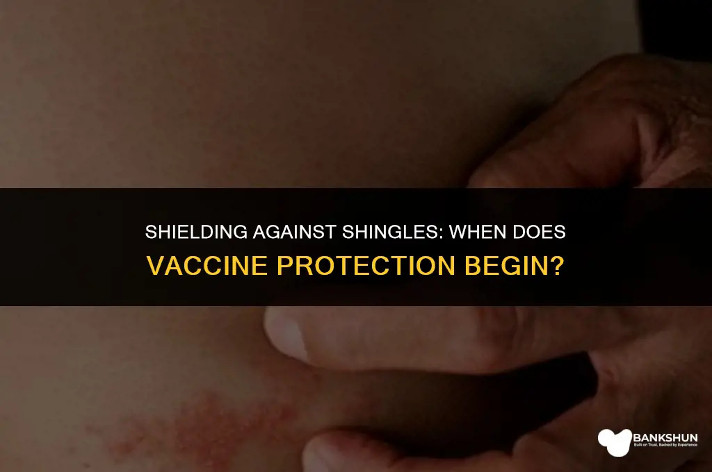 when does protection start after shinglex vaccine