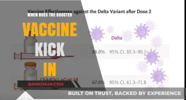 Booster Vaccine Efficacy: When Does It Take Effect?