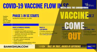 Anticipating the Arrival: When Will the Coronavirus Vaccine Be Available?