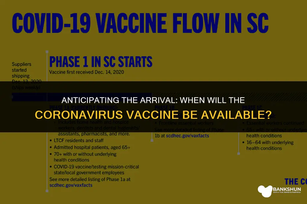 when does the coronavirus vaccine come out