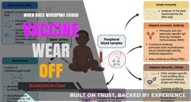 Understanding Whooping Cough Vaccine Efficacy Over Time