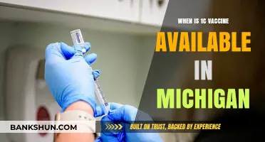Michigan's 1C Vaccine Rollout: Timeline and Eligibility Updates