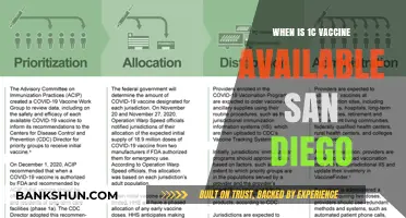 San Diego's 1C Vaccine Rollout: Timeline and Eligibility Updates