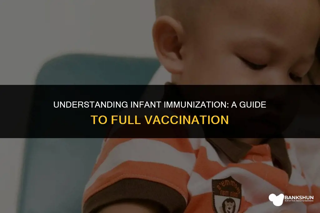 when is a baby considered fully vaccinated