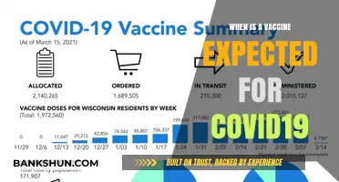 Hope on the Horizon: COVID-19 Vaccine Timeline and Expectations