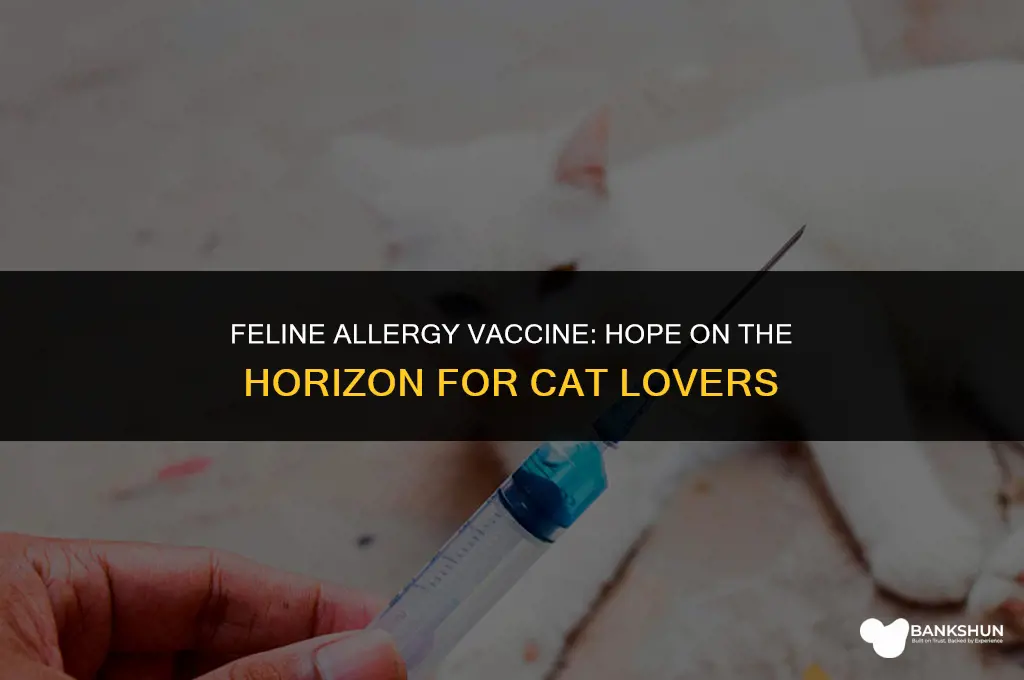when is cat allergy vaccine coming out