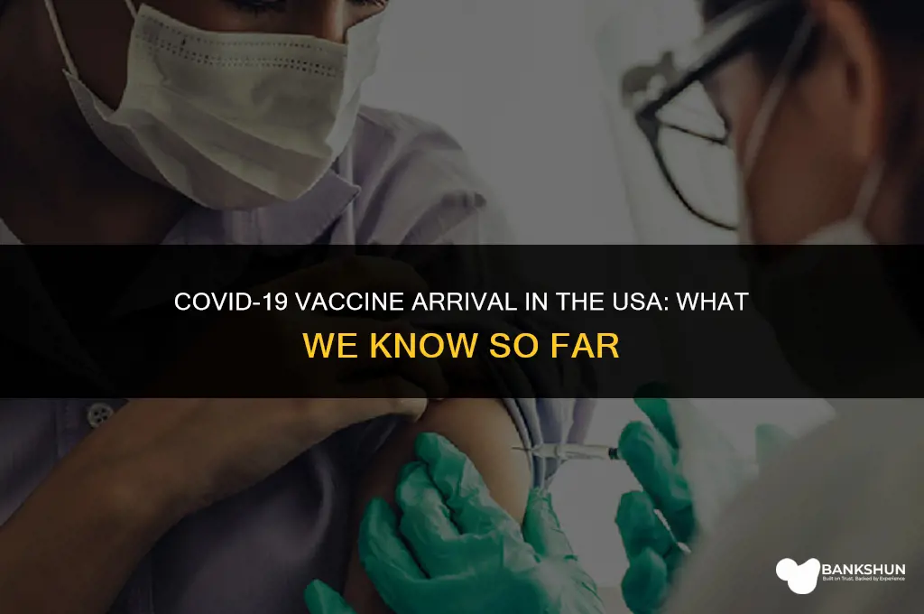 when is corona vaccine come in usa