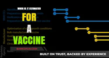 Anticipating Immunity: The Timeline for a Potential Vaccine