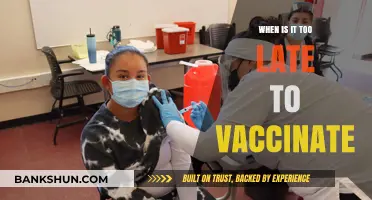 Is It Ever Too Late to Get Vaccinated? Expert Insights