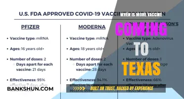 Texas Vaccine Rollout: When to Expect More Doses
