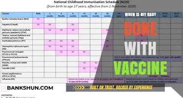 Vaccination Milestones: When Is Your Baby Fully Immunized?