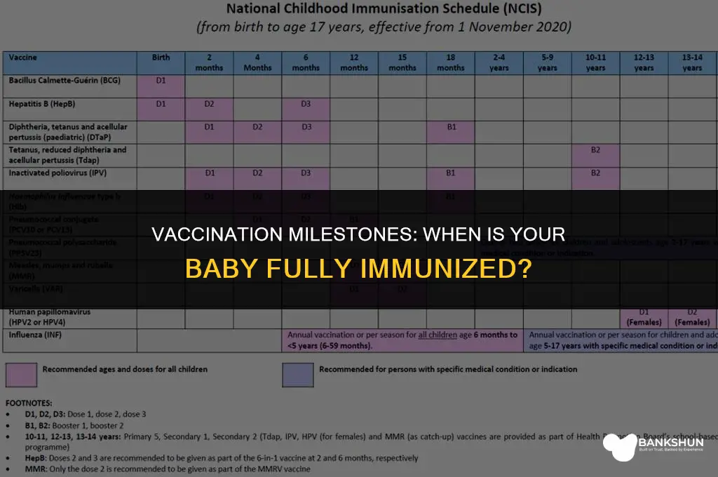 when is my baby done with vaccine