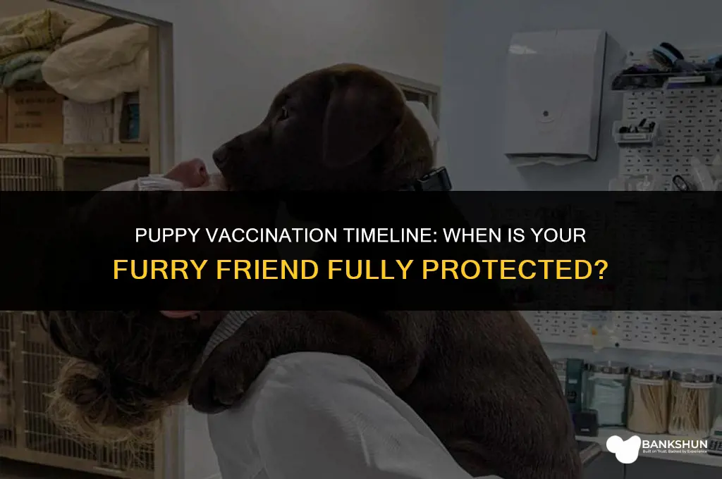 when is my puppy considered fully vaccinated
