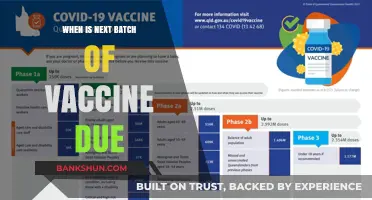 Vaccine Rollout: Anticipating the Arrival of the Next Batch