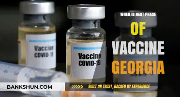 Georgia's Vaccine Rollout: What to Expect in the Next Phase
