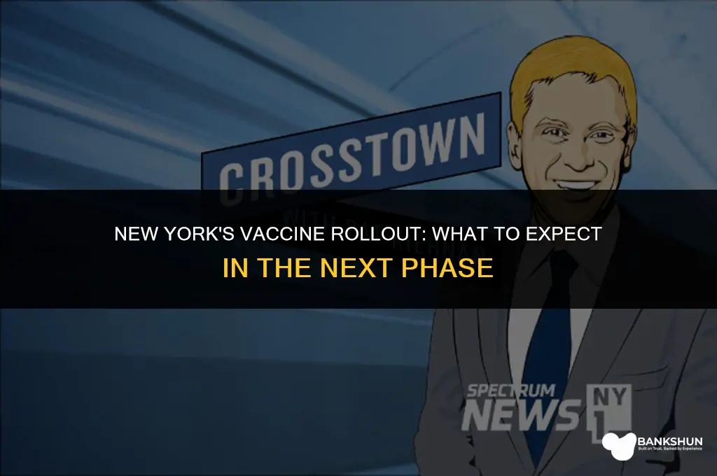 when is next phase of vaccine ny